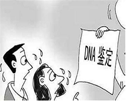 克孜勒苏柯尔克孜胎儿需要怎么办理血缘检测，克孜勒苏柯尔克孜无创产前亲子鉴定大概多少费用